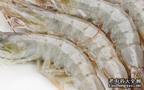 
为什么海虾能够补肾?海虾能够补肾的原因

