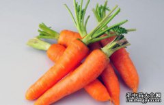 胡萝卜的食用禁宜怎么样?了解胡萝卜的营养价值和副作用
